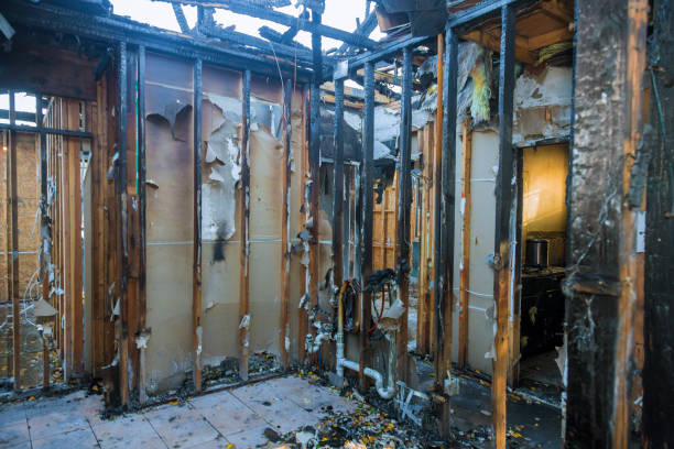 Professional Fire Damage Removal technician working in Del Mar, CA